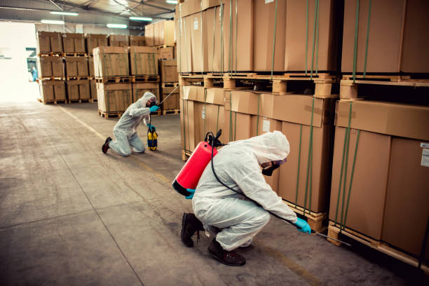 Best Pest Prevention Services  in Melrose Park, IL