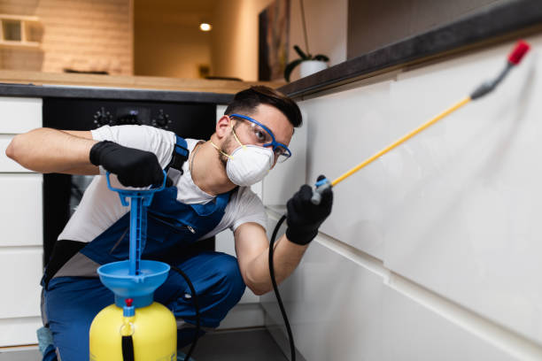Best Rat Extermination Near Me  in Melrose Park, IL