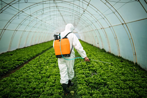 Professional Pest Control in Melrose Park, IL