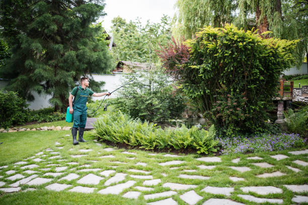 Best Pest Control Cost  in Melrose Park, IL