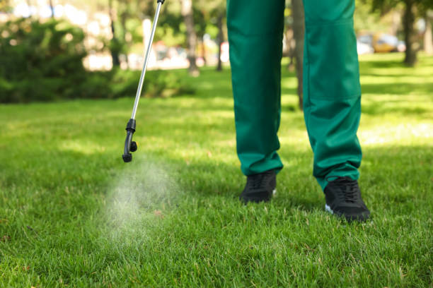 Best Affordable Pest Control Services  in Melrose Park, IL
