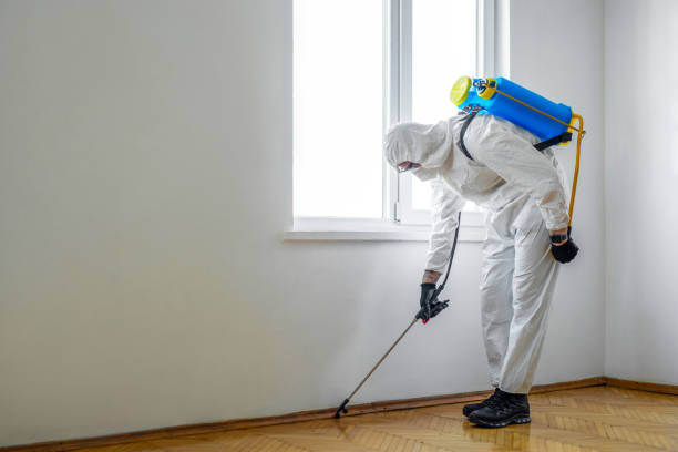 Best Commercial Pest Control Services  in Melrose Park, IL