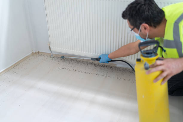 Best Emergency Pest Control  in Melrose Park, IL