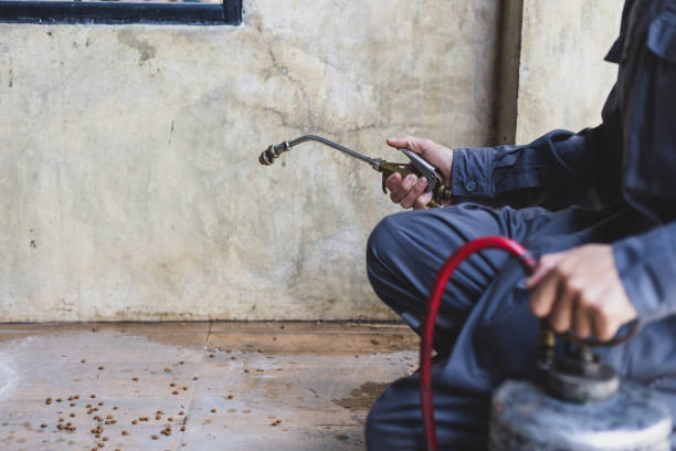Best Exterminator Services  in Melrose Park, IL